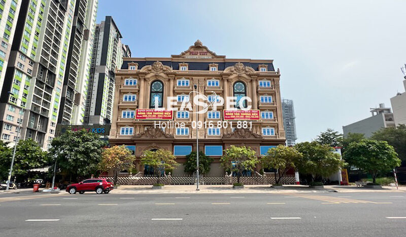 pháp việt luxury building