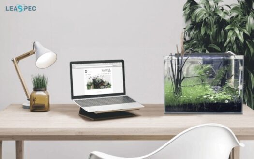 bể cá mini để bàn làm việc