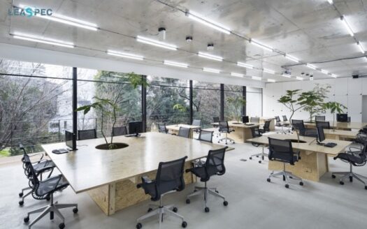 thiết kế văn phòng mở