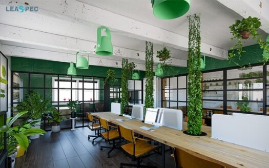 thiết kế văn phòng xanh