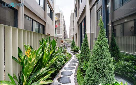 dịch vụ cho thuê cây xanh văn phòng